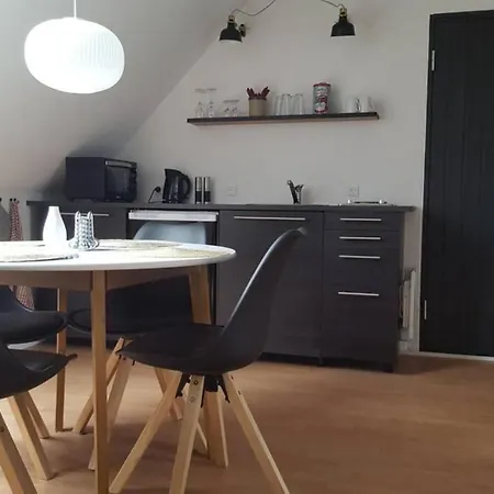 Elleholm Lejlighed Odense